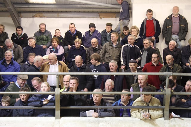 Buyers around the salering at the NI Simmental Cattle Breeders' Club show and sale, held at Dungannon. Picture: Julie Hazelton