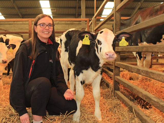 Moore Concrete’s Maeve Birt making friends with Bavanmore Persuit Fedora at the April Dungannon Dairy Sale. Picture: Julie Hazelton