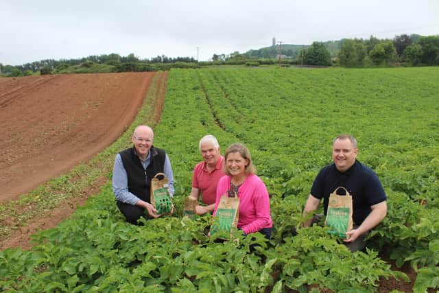 William Gilmore, who farms close to the town of Newtownards, grows the first early variety: Accord. His family has been committed to early potato production for the past 75years.