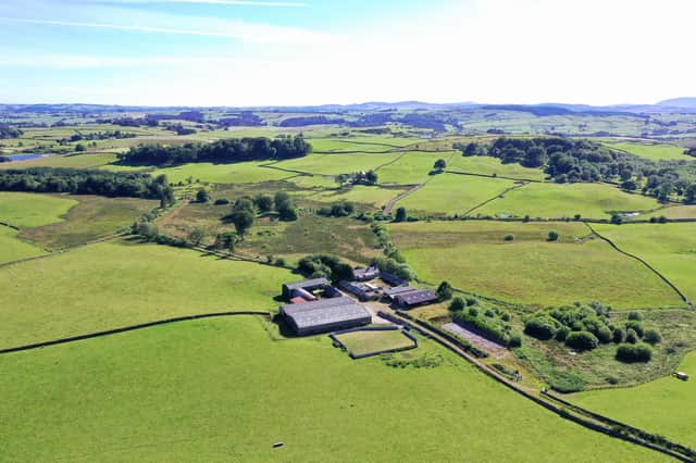 The land is currently grazed on a seasonal grazing licence. There are no leases presently on the land and it is available to purchase with vacant possession. There are also plans to progress an afforestation project around the property.