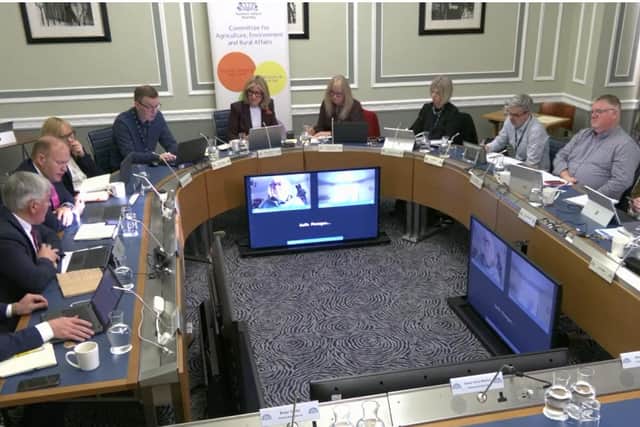 AERA committee