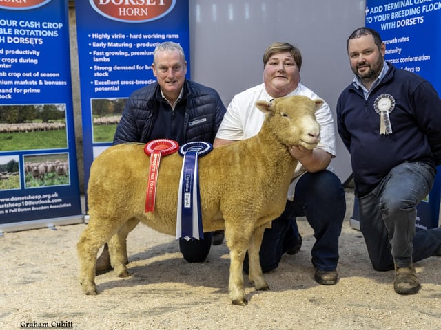 Judge Seamus Mullan and Seamus McCormick, Danske Bank, with Reserve Champion and Opposite Sex to Champion Lot 6 and handler Karen Carson.