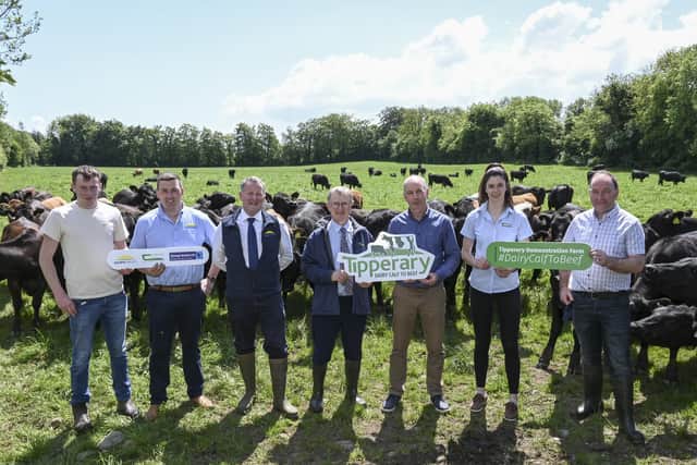 Jack Spillane, farm manager, Mathew Murphy, Dawn Meats, Niall Browne, chief executive, Dawn Meats, Professor Frank O’Mara, Teagasc director; Donal Santry, chairman of Shinagh Estates, Chloe Millar, Teagasc technician, and Sean Deasy, vice chairman of Shinagh Estates.  Picture: Submitted