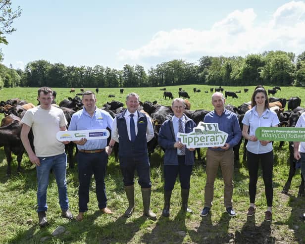 Jack Spillane, farm manager, Mathew Murphy, Dawn Meats, Niall Browne, chief executive, Dawn Meats, Professor Frank O’Mara, Teagasc director; Donal Santry, chairman of Shinagh Estates, Chloe Millar, Teagasc technician, and Sean Deasy, vice chairman of Shinagh Estates.  Picture: Submitted