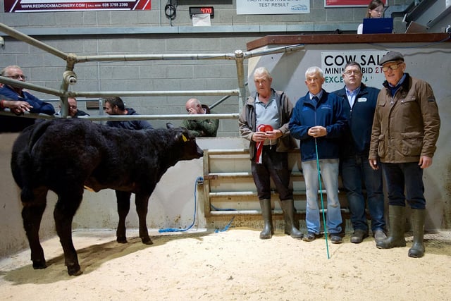 Supreme champion Limousin suckled calf at Markethill was a heifer shown by Daniel Cull, Banbridge. Included are Des O’Hanlon, judge and Jim Quail, NI Limousin Club. Picture: Bo Davidson. 
