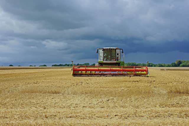 A panoramic view of a combine harvester with an incoming summer storm. (Pic: Shutterstock/PJ Photography)