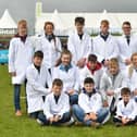 Young limousin breeders