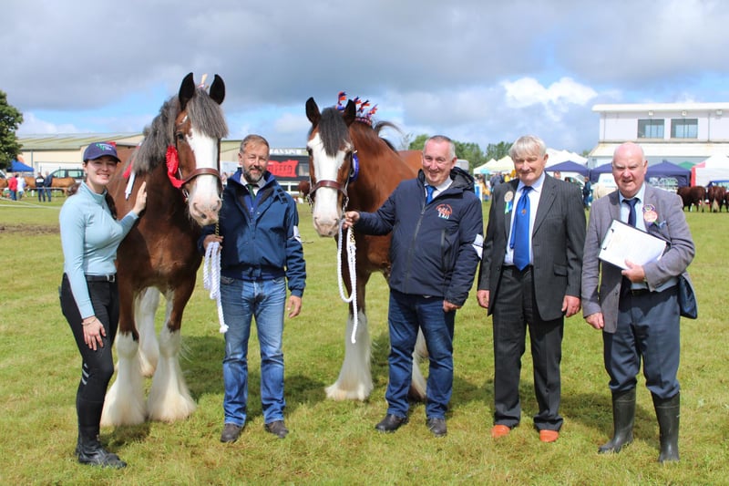 The 181st Omagh Show has been confirmed for 1 July. Equestrian classes will be held on 30 June.