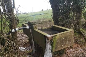 A frozen drinking trough in Fermanagh