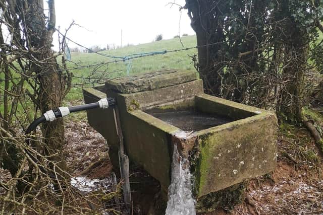 A frozen drinking trough in Fermanagh