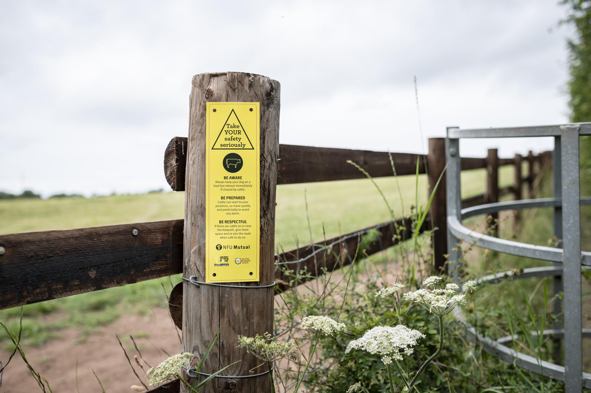 New signage provides advice to the public walking near cattle in the ...