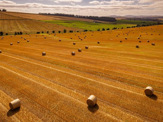 Lendrum Farm is an exceptional agricultural property with a superb five-bedroom farmhouse, productive land, an extensive range of farm buildings, a bothy and renewable energy assets, all situated in the heart of Aberdeenshire’s renowned agricultural region.