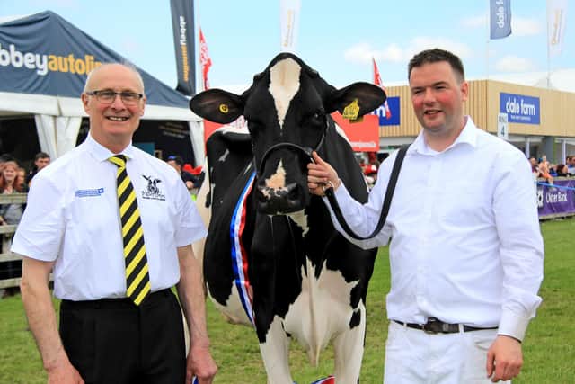 Cyril Millar, Coleraine, with his Holstein champion Damm Tatoo Sallie, exhibited by Andrew Kennedy. Picture: Julie Hazelton