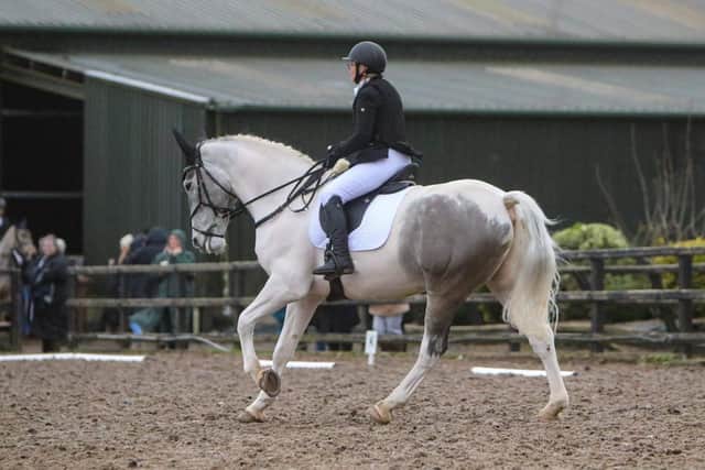 Debbie Burns and Baloo on their way to 2nd place in Novice 27. (Pic: Ellie Johnston Photography)