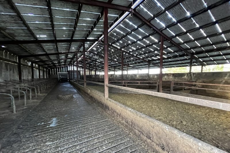 Wilsons Auctions are pleased to offer this well-equipped farm in County Tyrone for sale