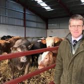 David MacKenzie, beef and sheep director at animal nutrition expert Harbro, is encouraging UK farmers to look at ways of improving feed presentation and drinking water hygiene
