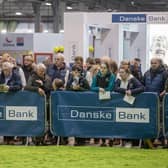 Pictured at the Danske Bank stand during RUAS Winter Fair. (Pic: MCAULEY_MULTIMEDIA)