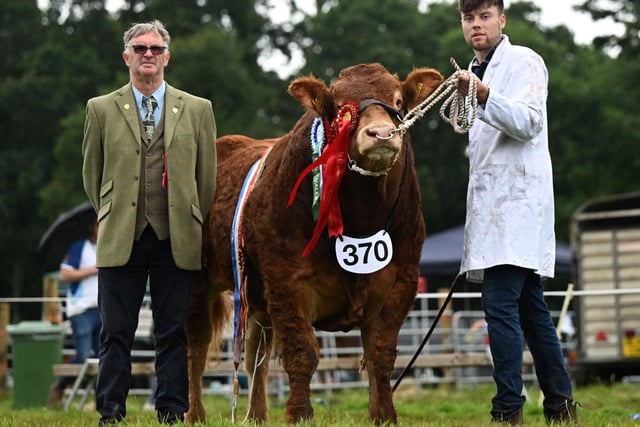 Judge John Morton, Gretna, is pictured with Cormac O’Kane who exhibited the Randox Antrim Show’s interbreed beef champion Jalex Transform owned by James Alexander, Randalstown. Picture: Kathryn Shaw, Agri-Images