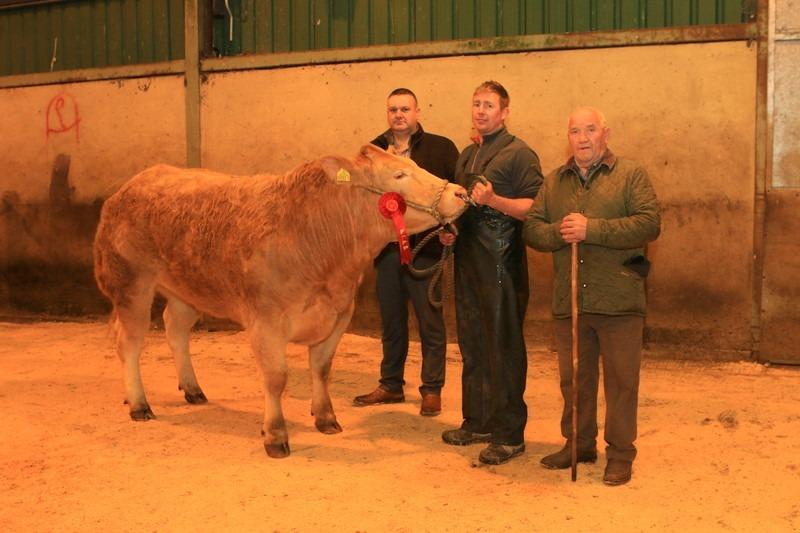 First beef heifer exhibited by Conor McAlinden, left to right Ivan Lynn (judge), Conor McAlinden and John Farnon (mart manager). Picture: Submitted