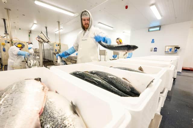 One of Ireland’s leading producers of organic salmon, Connemara-based Cill Chiaráin Éisc Teoranta (CCET), has completed a substantial €543,000 investment aimed at future-proofing the business and protecting local jobs. Pictured are staff processing salmon on the factory floor in in Kilkieran, Connemara. Picture: Submitted