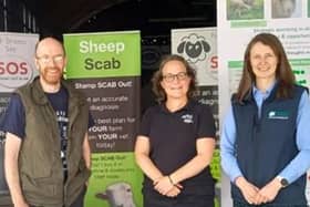 Some members of the NI Sheep Scab Project Team: Stewart Burgess, Moredun Research Institute, Project Lead; Paul Crawford, Chair of NI Sheep Scab Group; Aurelie Aubry AFBI; Sharon Verner AHWNI.