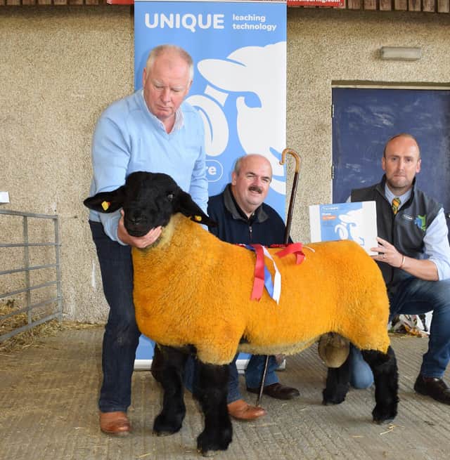 Overall Champion from S&J McCloskey - Ballymena 2nd sale  with sponsor Neil Acheson Animax representative.