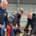 2023 Spring Lamb Competition Dennis Taylor - 1st & 2nd prize pedigree Suffolk class