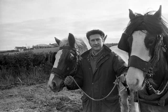 They had been ploughing straight furrows at Groomsport, Co Down, at the end of January 1992. Competitors from all over the province showed of their expertise at the Newtownards Young Farmers’ Club ploughing match. Pictured is Robert Berry of the Ulster Folk Museum with Stewball and Dick competing in the Newtownards YFC ploughing match. Picture: Farming Life/News Letter archives