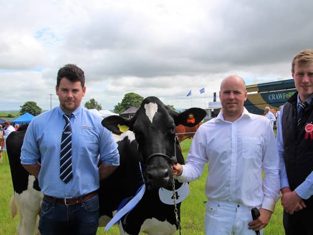 Cameron Magowan with Bannwater Undenied Sheba 137 VG86, from the Magowan family’s Bannwater Herd, Rathfriland, who qualified for the 2023 Thompsons/NISA Dairy Cow Championship at Newry Show on Saturday. Congratulating Cameron are David Simpson (judge) and Nathan Harvey (Thompsons). Picture: Thompsons