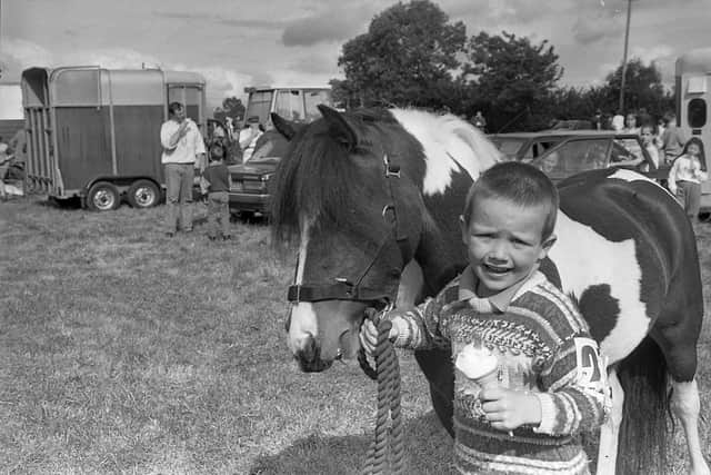 Pictured in September 1992 at the Ahoghill Horse Fair is Wayne Booth from Kells with his pony May. The premier championship award at the fair was awarded to Robert Campbell of Ballymena for his Clydesdale mare with foal. Picture: News Letter archives/Darryl Armitage