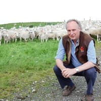 Co Antrim flocks at the heart of updated sheep genomics
