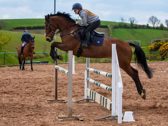 Aimee Webb on Nala competes in Class 6. (Pic: Martin O'Neill Photography)