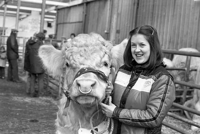 Pictured in November 1982 is Mrs Joan Kerr from Moira with her husband’s prizewinning Charolais bull at the breed show and sale which was held at Portadown. Picture: Farming Life/News Letter archives