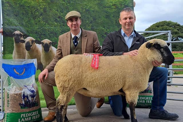 James Johnston with his 1st placed Shearling Ewe along with Judge Stephen Short.