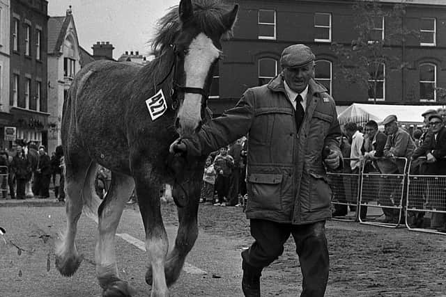 Pictured at the end of September 1992 at the Dromore Horse Fair is Davy Graham from Ballyclare, who is seen putting his Clydesdale, Diamond, through its paces at the fair. Picture: News Letter archives/Darryl Armitage