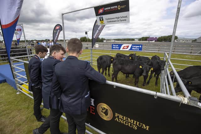 Cookstown High School's Ben Smyton, William Hamilton and John Mark McCrea pictured receiving their calves at Balmoral Park in June 2021 as finalists in the ABP Angus Youth Challenge