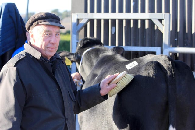 Kilrea Holstein bull sale vendor William Black, Keely Herd, Coleraine.
