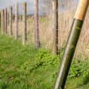 Agricultural fencing protected by Postsaver.