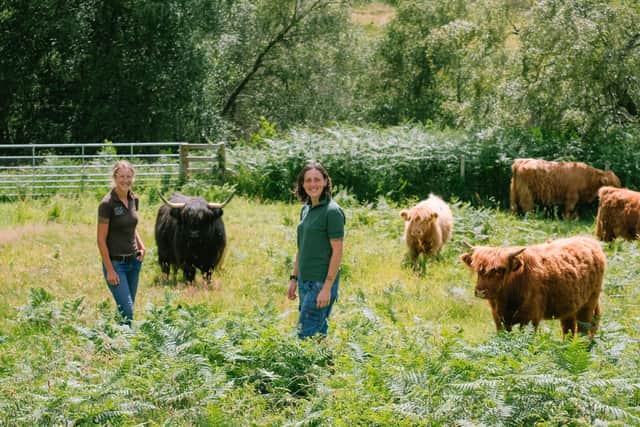 It took start-up crofters Lynn Cassells and Sandra Baer six hard years before they realised the hours they were working were unsustainable. Picture: Submitted
