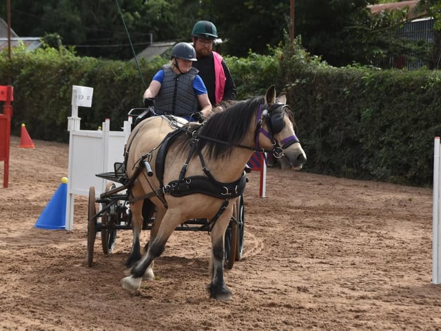 Sandra Bowgen 1st time out with her smashing Dun Cob