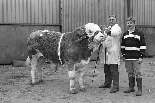 Pictured in March 1992 is Cecil McIlwaine from Newtownstewart and his son, Scott, with Corrick Admiral, the reserve at the Northern Ireland Simmental Club show and sale which was held at the Automart, Portadown. Picture: Farming Life/News Letter archives
