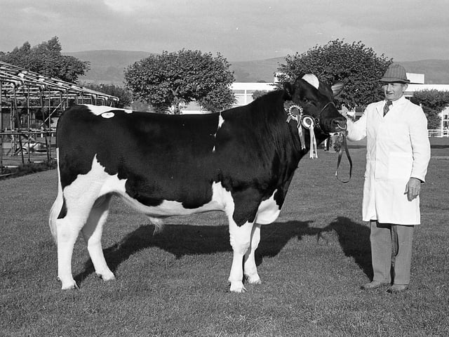 This collection of old photos is from 1981.