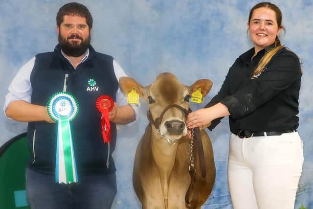 Senior Calf winner Potterswalls Chocochip Belle with handler Ailsa Fleming from the Fleming Family. (Pic supplied by Ulster Jersey Cattle Club)