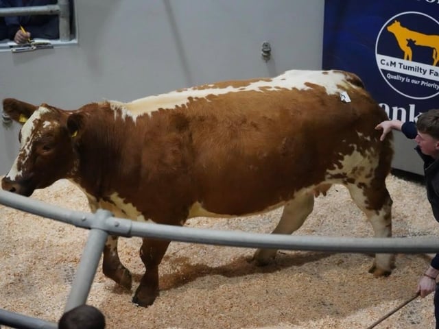 Lot 9 selling for £8000