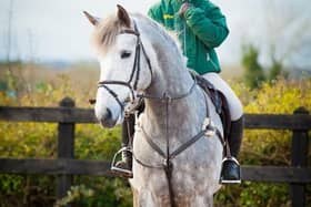 Emma Jackson and Bannvalley Whisper. (Pic: Black Horse Photography)