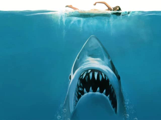 Just when you thought it was safe to go back into the water.....cue the music... is an iconic moment in Jaws.