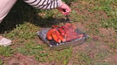 Think twice before using disposable BBQ's (photo: adobe)