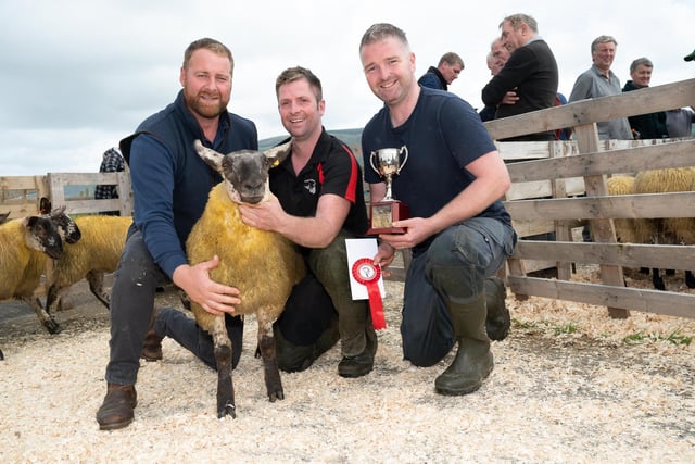 Alwyn McFarland (judge) with Chris Mullan and Martin Mullan and the Champion Suffolk Cheviot at the Alexander Gourley open air sheep show and sale at Aghanloo on Tuesday morning. Photo Clive Wasson