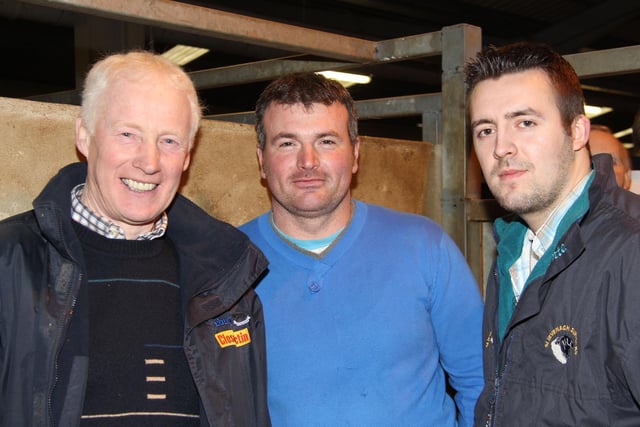 Pictured at the NI Simmental Cattle Breeders' Club show and sale, Dungannon, are from left: Leslie Weatherup, Ballyclare; Alan Wilson, Newry; and Christopher Boyd, Portglenone. Picture: Julie Hazelton