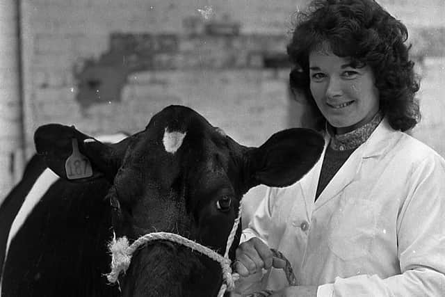 Mrs Rhona Grey from Newtownards pictured in September 1982, with the first prize heifer at the Friesian Breeders’ Club show and sale at Banbridge. Picture: Farming Life/News Letter archives